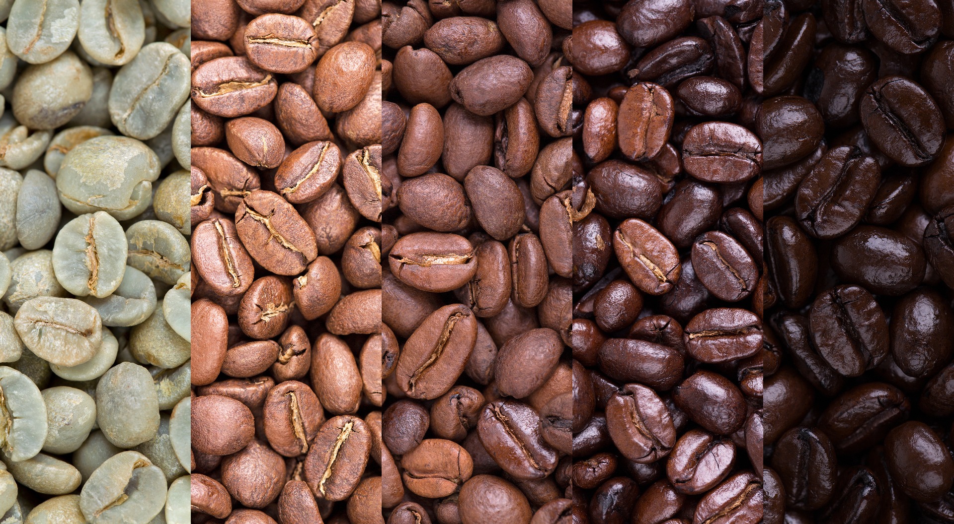 Coffee Bean gradient